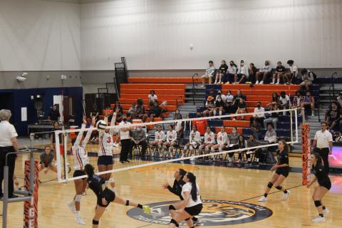 Tohopekaliga (in white) and Celebration will be in action at the District 7A-5 volleyball tournament next week. PHOTO/KEN JACKSON