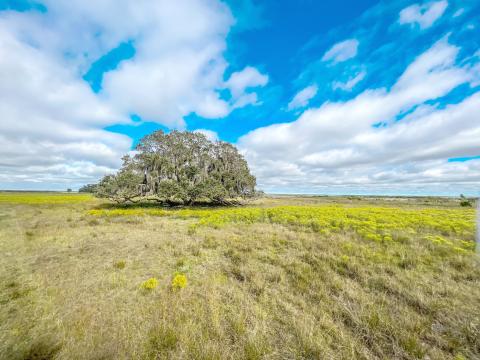 The influx of residents and visitors simultaneously increases, the need for more public lands and challenges the mission to protect the land. As real estate prices skyrocket, finding sufficient funding for conservation lands becomes more and more difficult. 