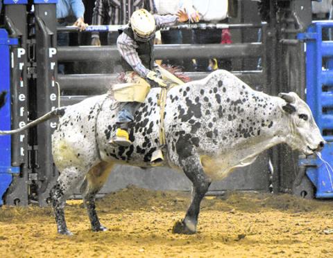 Kissimmee’s Garret Bryant was one of a number of local participants in bull riding and barrel racing at Saturday’s Monster Bulls event at the Silver Spurs Arena. Okeechobee’s Daron Powers won the bull riding with an 83.5-point ride. PHOTO/KATIE WILLIAMS