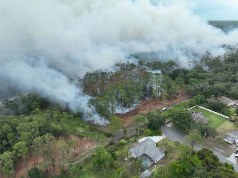 Two brush fires in the Lake Lizzie and Bass Road areas of eastern Osceola County that officials say were started by lightning have charred about 600 acres and are 80% contained. (Photo/Josh Meyers)