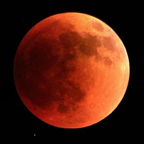 The Full Sturgeon Moon is one of the things to look out for in the skies this month. (Photo/Tom Fisk from Pexel)