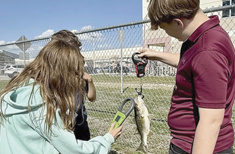 Students from John Prow’s St. Cloud Middle School science class scan fish they catch in a local pond and send information back to Fish and Wildlife Commission researchers. (Submitted photos)