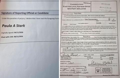 State Rep. Paula Stark showed the News-Gazette proof of election filings required to be on the 2026 ballot. (Submitted Photo)