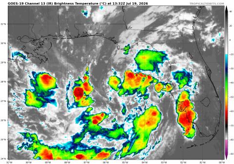 Tropical Depression Two is off the west coast of Florida, expect to track northwest, then west-northwest across the northern Gulf of America. (Satellite image/Tropical Tidbits)