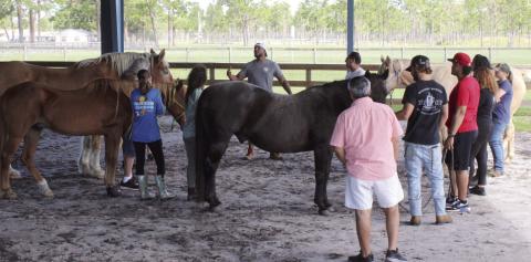 Veterans, staff and volunteer “debrief” after the Saturday morning “Horse Wisdom” session at First Nature Ranch and Foundation. PHOTOS/TERRY LLOYD