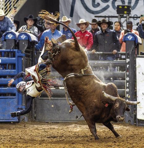 Athletes—of the human and beast kind—were on display last weekend at the 154th Silver Spurs Rodeo. PHOTO/TAYLOR MCFEE 