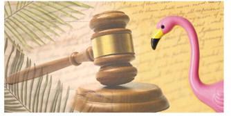 10 new Florida laws took effect Tuesday, July 1, the start the 2025-2026 fiscal year: