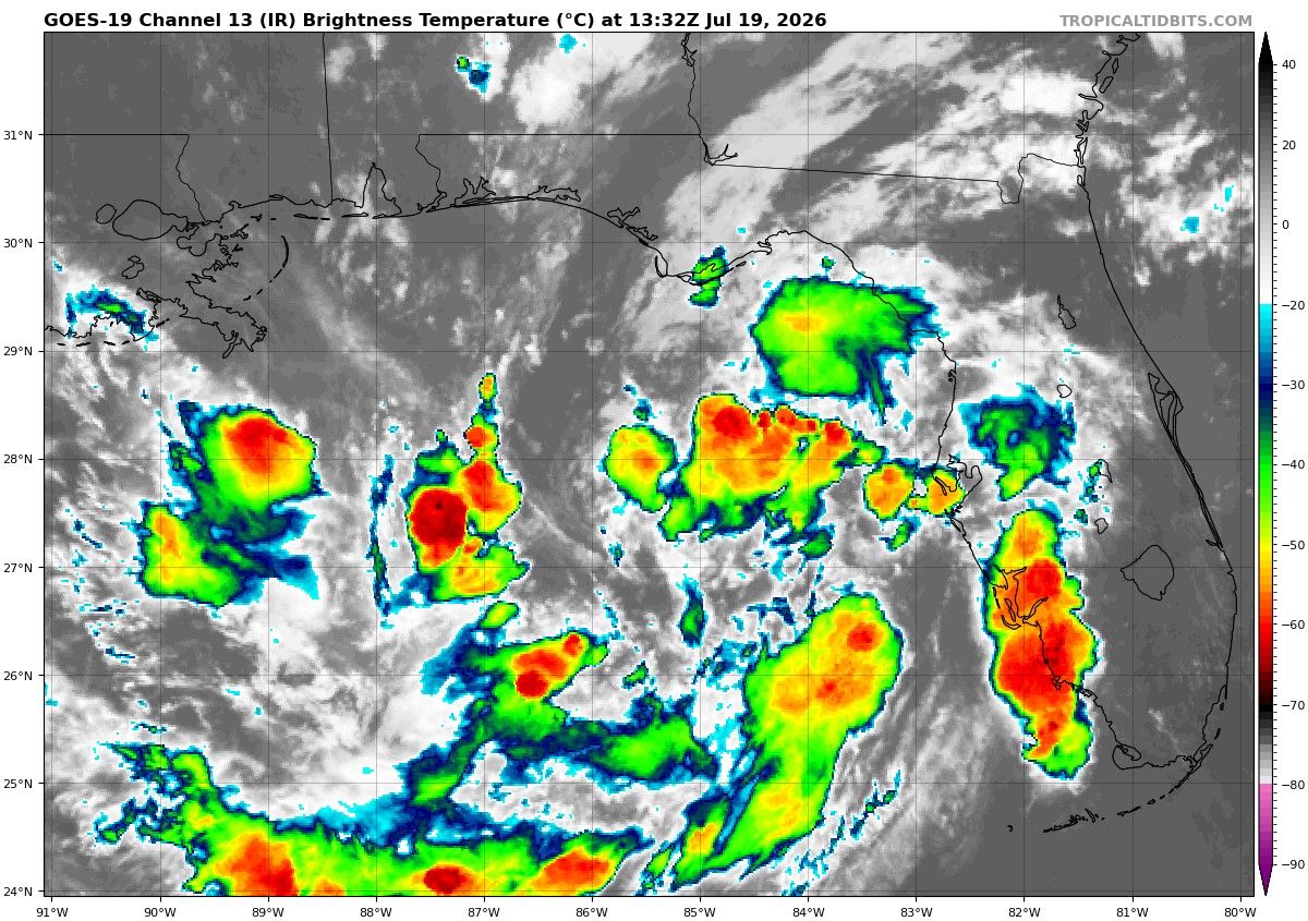 Tropical Depression Two is off the west coast of Florida, expect to track northwest, then west-northwest across the northern Gulf of America. (Satellite image/Tropical Tidbits)