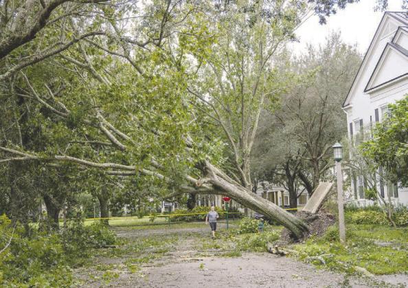 Hurricane Milton struck the Florida west coast and caused some damage in Osceola County. The Colorado State tropical weather research team said 2025 could see above-average storm activity in its first prediction package of the year. FILE PHOTO