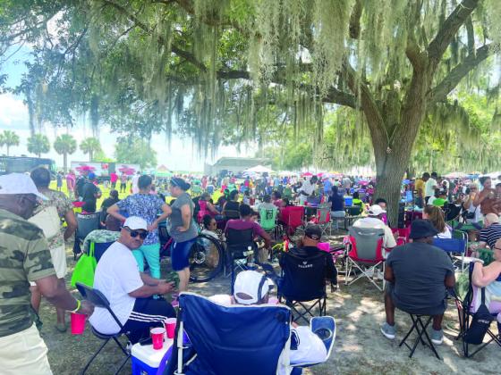 Caribbean Fusion Photos by Donasia Harry