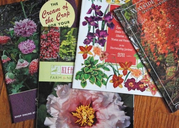 Photo/melinda myers Quality garden catalogs will list the cold hardiness zone of trees, shrubs and perennials and usually include the U.S. Department of Agriculture’s Plant Hardiness Zone Map.
