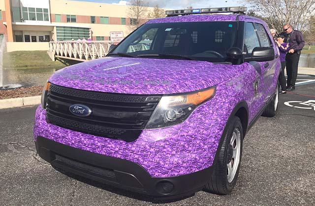 Photo/Osceola County Sheriff's Office. The Osceola County Sheriff’s Office unveiled its purple Ford Explorer at a ceremony last week. It includes the number of the Help Now of Osceola 24-hour crisis hotline. 