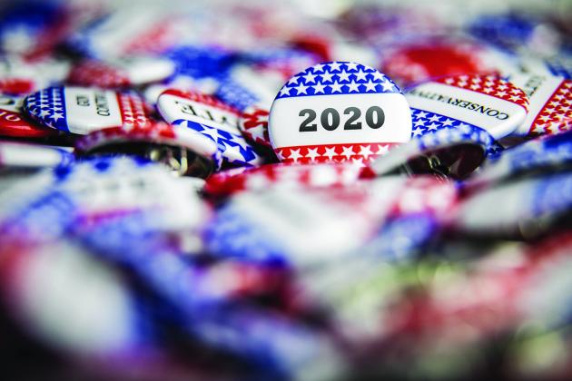 2020 election year