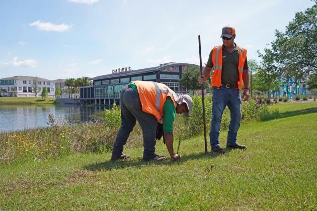 In addition to Lake Nona, local partners including CEPRA Landscape, Down to Earth, and Landcare Group all contributed time and talents to facilitate the multi-day planting project. PHOTO/COURTESY OF LAKE NONA