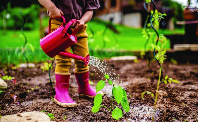 Gardening has been shown to have therapeutic effects on our mental and emotional health. PHOTO/METRO