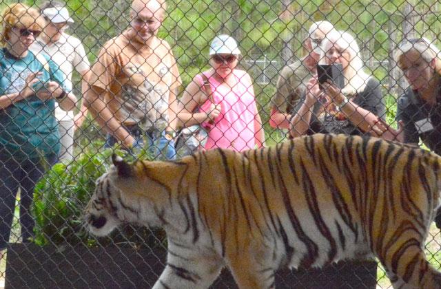 The Central Florida Animal Reserve is one of the four animal groups that haVe come together too seek community support amid COVID-19. PHOTO/CENTRAL FLORIDA ANIMAL RESERVE