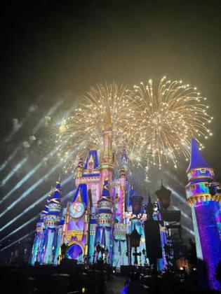 Hope Partnership members witness Disney’s gala fireworks show Thursday. SUBMITTED PHOTO