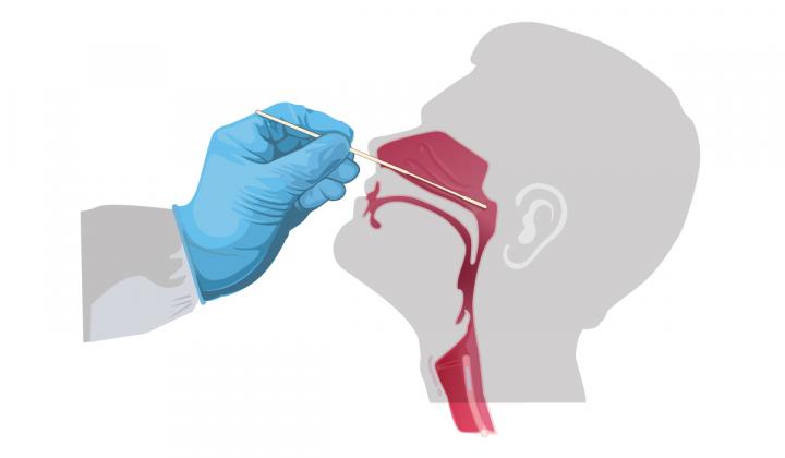 The federal portal to order COVID-19 home nasal swab test kits is open. PHOTO/CDC