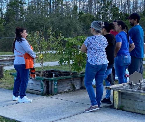 Love Makes Me Grows' nine-week program includes experts who educate families on how to create and maintain their own food garden.