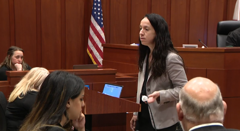 Assistant State Attorney Daniell Pinelle makes closing arguments to the jury Thursday in the Anthony Todt murder trial at the Osceola County Courthouse. PHOTO/NINTH CIRCUIT COURT