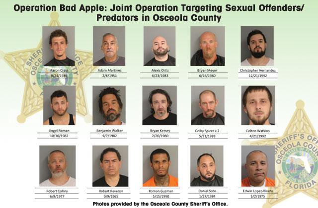 An operation to corral sexual offenders who remained in violation of state statute netted 56 arrests in Osceola County from March 28 through Friday.