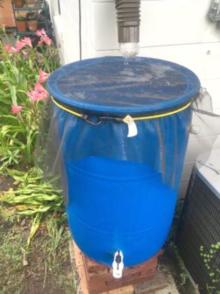 Rain barrels collect rainwater that can then be used to water plants inside and out. PHOTO/OSCEOLA CO. EXTENSION SERVICES