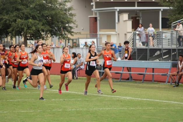 The start of the girls OBC cross-country race Oct. 13. Harmony and Celebration will run in Saturday's regional races after qualifying through last weekend's district races. PHOTO/LINDSEY TELLEZ