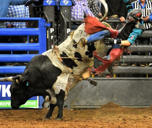 Some bull riders make the sport look easy. It often isn't ... PHOTO/KATIE WILLIAMS