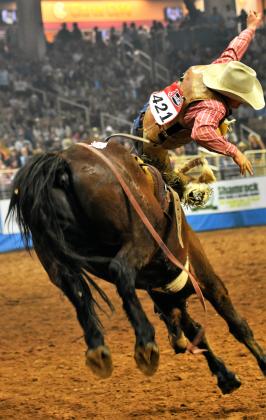 ... And neither are saddle bronc or bareback riding. PHOTO/KATIE WILLIAMS