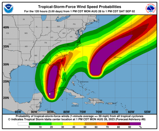 The NHC chances of tropical storm-force winds. Osceola County is just under 40 percent.