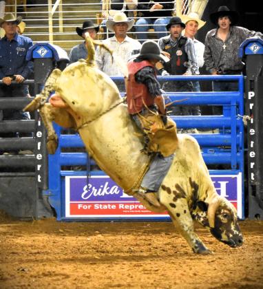 Bull riding is very much a contact sport.  PHOTOS BY KATIE WILLIAMS