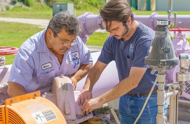 Pipes that carry reclaimed water can be identified by their purple color.