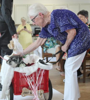 Off to the honeymoon ... maybe. Bear's momma, Sue Mann, pets him as the whirlwind ceremony ends. PHOTOS/KEN JACKSON