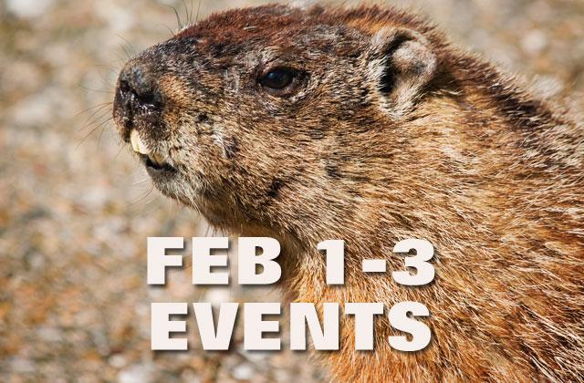 Saturday is poised to be a busy day in St. Cloud.