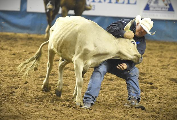 Pro steer wrestler and team roper, and former St. Cloud resident Juan Alcazar, starred at the 155th Silver Spurs Rodeo, taking the All-Around Cowboy title. (Photo/Katie Williams)