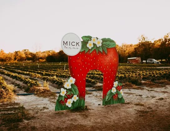 Mick Farms Hometown Harvest (4261 Canoe Creek Road) is this weekend, Saturday, Oct. 11 from 9 a.m. to 5 p.m. and Sunday, Oct. 12 11 a.m. to 5 p.m. (Photo/Tripadvisor)