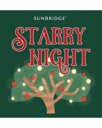 Starry Night, a public event at Sunbridge  is a night of festive cheer, twinkling lights and winter wonder.