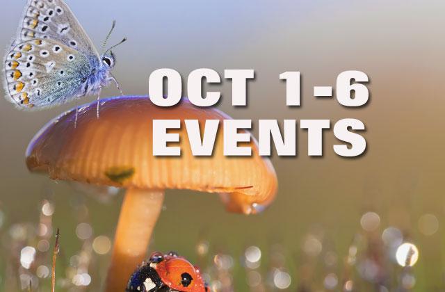 Old Town  21st Annual Vette Fest — Oct. 3