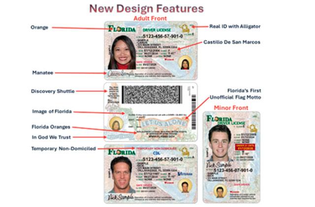 The Florida Department of Highway Safety and Motor Vehicles has begun issuing newlydesigned Florida driver license and identification card featuring elements of Florida’s history.