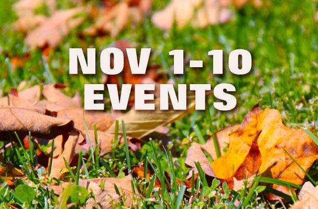 Embrace of Celebration Annual Music Festival — Nov. 14