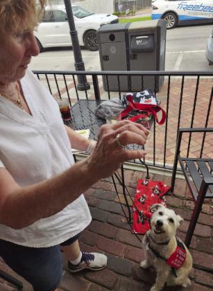 Judy Richards’ schnauzer-terrier Murphy showed off his skills while waiting his turn. PHOTO/KEN JACKSON