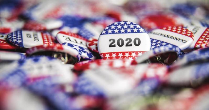 2020 election year