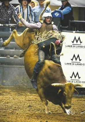 Monster Bulls photos by Katie Williams