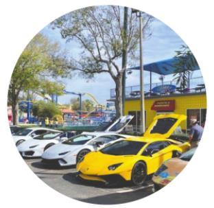 Alt Text for Image