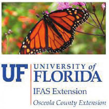 UF/IFAS Extension Services