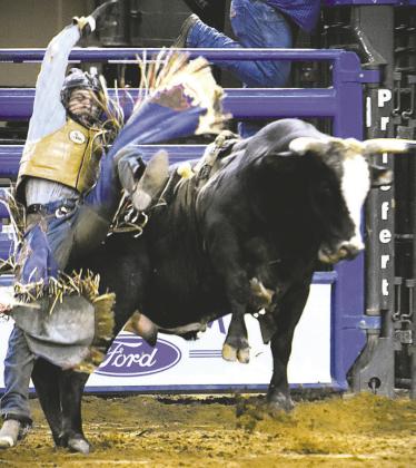 Bull rider Taylor Allen of Glynn, La., tested his cowboy mettle on the Silver Spurs Club’s Piggly Wiggly in Sunday’s final performance. (Photo/Katie Williams)