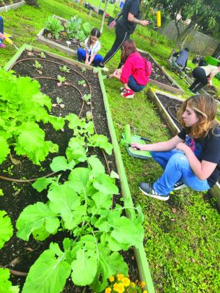 While young volunteers painted and tended to the fresh vegetable garden at Hopkins Park in St. Cloud Monday, adults like Mayor Nathan Blackwell and Police Chief Doug Goerke took to the pressure washer to give the playground a facelift. PHOTOS/KEN JACKSON