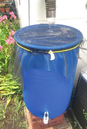 Rain barrels help conserve water used for plants, landscaping, and the lawn. PHOTO/EXTENSION SERVICES