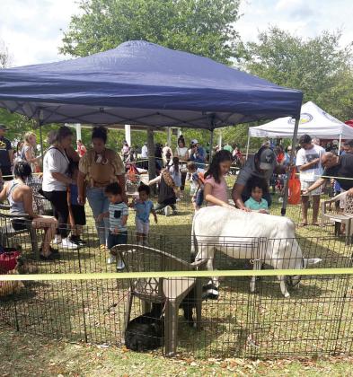 The Kissimmee Kowtown Festival, celebrating the city's 140th birthday at Lakefront Park. PHOTO/DONASIA HARRY
