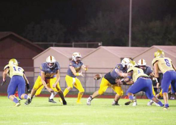 The St. Cloud Bulldogs will take on Edgewater High School in the playoffs. FILE PHOTO